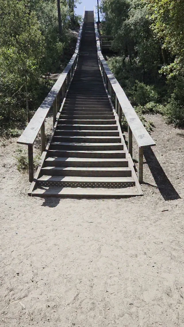Long escalier en bois franchissant la dune du Pey de la Blet, à Notre-Dame-de-Monts
